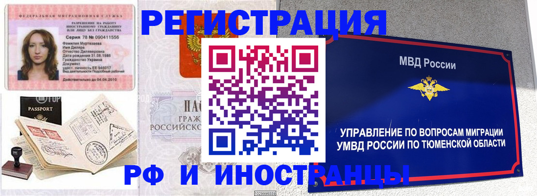 где прописаться в Кольчугино